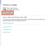 Checking-for-Windows-Updates