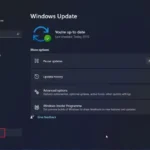 Updating-Windows